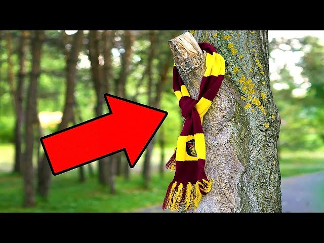 If You See a Scarf Tied Around a Tree, Here's the Amazing Reason for It