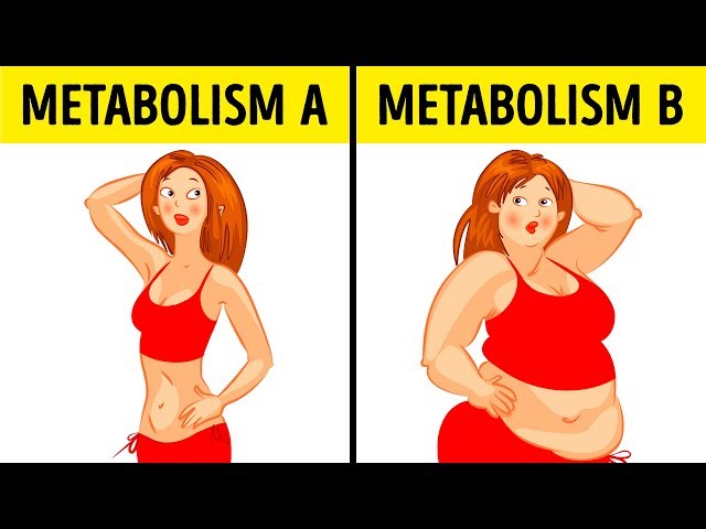 What the Metabolic Diet Is and Why It Works for Anyone