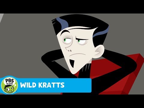 WILD KRATTS | Zac the Business Man! | PBS KIDS